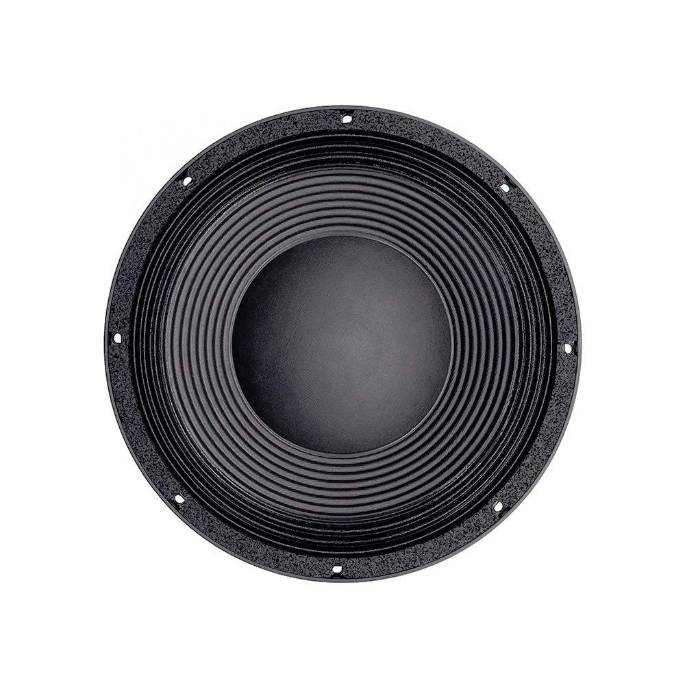 12DS Pro Audioapparatuur 12''  - Speakers recensie en prijs